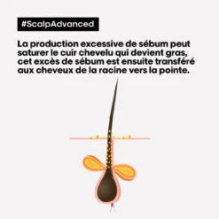 Shampooing Dermo-purifiant Anti Gras Scalp Advanced L'Oréal 1500ml -Produits Coiffure Boutique 3474637106416 4 47452.1684847766