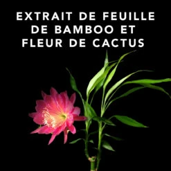 Volupt Spray Sebastian 150ml -Produits Coiffure Boutique 52361 4 35228.1688735230