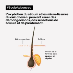 Shampooing Anti-Inconfort Scalp Advanced L'Oréal 1500ml -Produits Coiffure Boutique scalp adavanced antiinconfort 17500.1684847770