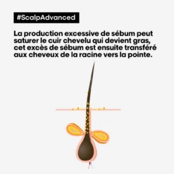 Argile 2-en-1 Purifiante Anti Gras Scalp Advanced L'Oréal 500ml -Produits Coiffure Boutique scalp advanced anti gras se bum 94024.1684847776
